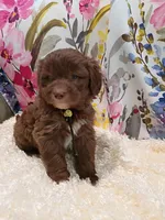 processed/d87d9b7f-e6a6-4c15-af7b-8b8abcbf24c5/listing/6f193726-42da-4bcd-97f7-911bed05cc87/45ce9c2b-bc92-4009-9c6a-4fdf9b92264e