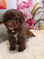 processed/d87d9b7f-e6a6-4c15-af7b-8b8abcbf24c5/listing/6f193726-42da-4bcd-97f7-911bed05cc87/7ae094c3-68b4-4224-8368-b6821cfa12a1