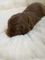 processed/d87d9b7f-e6a6-4c15-af7b-8b8abcbf24c5/listing/6f193726-42da-4bcd-97f7-911bed05cc87/992f97eb-3739-4d16-a065-799d10edd96f