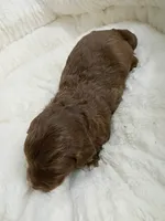 processed/d87d9b7f-e6a6-4c15-af7b-8b8abcbf24c5/listing/6f193726-42da-4bcd-97f7-911bed05cc87/cb91051d-eab5-496c-9b87-c26ea53b680d