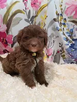 processed/d87d9b7f-e6a6-4c15-af7b-8b8abcbf24c5/listing/6f193726-42da-4bcd-97f7-911bed05cc87/d965e260-a8bb-46b7-9073-4846d1b38590