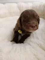 processed/d87d9b7f-e6a6-4c15-af7b-8b8abcbf24c5/listing/6f193726-42da-4bcd-97f7-911bed05cc87/f471cf7d-31c4-4cbf-86cd-51e6214e3700