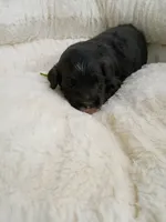 processed/d87d9b7f-e6a6-4c15-af7b-8b8abcbf24c5/listing/836919e9-6bab-44b0-992f-908e2faf0ae6/13649da4-dfca-46f4-a3f5-c6ac4df74483