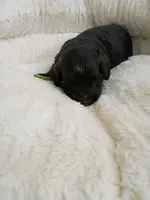 processed/d87d9b7f-e6a6-4c15-af7b-8b8abcbf24c5/listing/836919e9-6bab-44b0-992f-908e2faf0ae6/36ff1827-292e-4385-90aa-3847c6a2f430