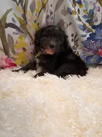 processed/d87d9b7f-e6a6-4c15-af7b-8b8abcbf24c5/listing/836919e9-6bab-44b0-992f-908e2faf0ae6/564de032-619d-4119-bd14-37737a194fd6