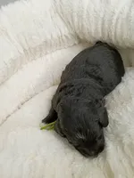 processed/d87d9b7f-e6a6-4c15-af7b-8b8abcbf24c5/listing/836919e9-6bab-44b0-992f-908e2faf0ae6/815ea286-de8d-4e8c-9fa8-82480adc8cd0