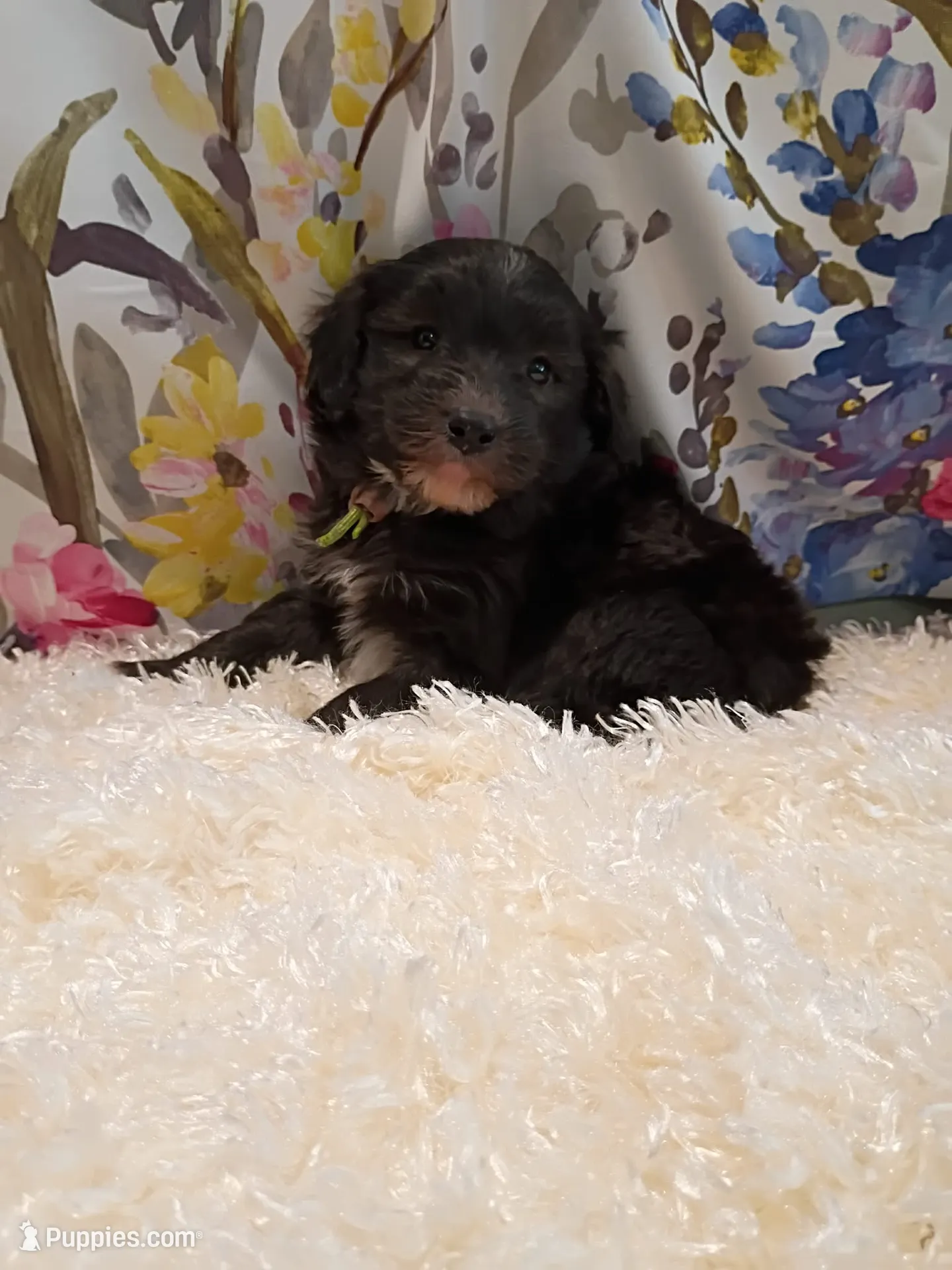 processed/d87d9b7f-e6a6-4c15-af7b-8b8abcbf24c5/listing/836919e9-6bab-44b0-992f-908e2faf0ae6/ecbf3150-b857-48e2-958c-0d35f4241cf3