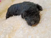 processed/d87d9b7f-e6a6-4c15-af7b-8b8abcbf24c5/listing/f3137425-b200-4dca-9d93-dbe60b481c85/08f9061f-4de6-432b-8e38-3b8a2d067172