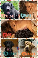 processed/d87e8217-1fc0-4355-833d-e8e8b8504167/facility/0d14cbe4-8ecc-4973-b6d7-158ff07ac4b8