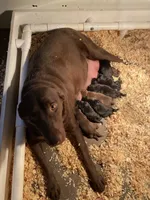 processed/d87e8217-1fc0-4355-833d-e8e8b8504167/facility/5f79d71b-9254-4072-9ba8-8bde67b1676e