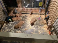 processed/d87e8217-1fc0-4355-833d-e8e8b8504167/facility/73eed09a-1d50-409e-b059-9f8cea297a09