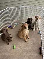 processed/d87e8217-1fc0-4355-833d-e8e8b8504167/facility/9926053c-58d9-4d89-b186-96ee61a4aab1