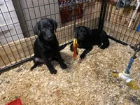 processed/d87e8217-1fc0-4355-833d-e8e8b8504167/facility/bdf05946-cb47-4785-a480-5289beb2c5c8