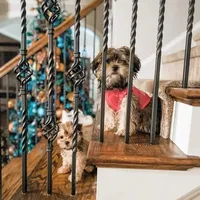 processed/d88092ff-fdf8-41ff-8f9a-03843933f773/facility/57856cd9-570b-4547-b755-fc75a21683ea