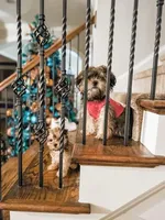 processed/d88092ff-fdf8-41ff-8f9a-03843933f773/facility/57856cd9-570b-4547-b755-fc75a21683ea