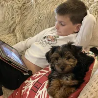 processed/d88092ff-fdf8-41ff-8f9a-03843933f773/facility/65b584a1-d6a1-4983-9dc7-48277fe4d674