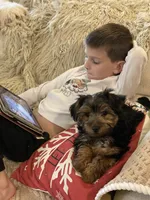 processed/d88092ff-fdf8-41ff-8f9a-03843933f773/facility/65b584a1-d6a1-4983-9dc7-48277fe4d674