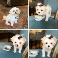 processed/d88092ff-fdf8-41ff-8f9a-03843933f773/facility/b611f2d7-f881-46e8-9452-6d058b6e0594