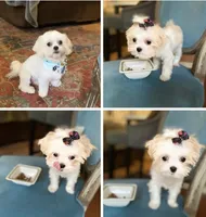 processed/d88092ff-fdf8-41ff-8f9a-03843933f773/facility/b611f2d7-f881-46e8-9452-6d058b6e0594