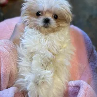 processed/d88092ff-fdf8-41ff-8f9a-03843933f773/facility/fa4d1509-9300-451a-8d20-0b518598c826