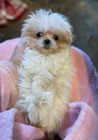 processed/d88092ff-fdf8-41ff-8f9a-03843933f773/facility/fa4d1509-9300-451a-8d20-0b518598c826