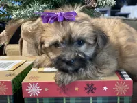 processed/d88092ff-fdf8-41ff-8f9a-03843933f773/listing/3620cfef-4810-41c9-88ed-9a4255332b9d/12ef350c-9c61-472c-a0f6-035c2ee3077a