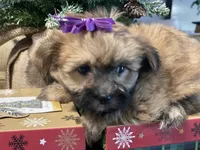 processed/d88092ff-fdf8-41ff-8f9a-03843933f773/listing/3620cfef-4810-41c9-88ed-9a4255332b9d/19a1892f-aedd-4870-b6b9-3399e68d0f8a