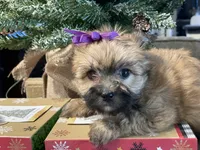 processed/d88092ff-fdf8-41ff-8f9a-03843933f773/listing/3620cfef-4810-41c9-88ed-9a4255332b9d/3ba02901-0460-4cb0-8940-2e4b1d369e1d