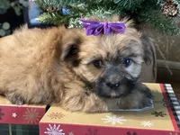 processed/d88092ff-fdf8-41ff-8f9a-03843933f773/listing/3620cfef-4810-41c9-88ed-9a4255332b9d/3c683d65-091e-432f-87b5-3e4ad9b3768e