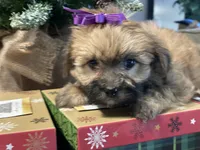 processed/d88092ff-fdf8-41ff-8f9a-03843933f773/listing/3620cfef-4810-41c9-88ed-9a4255332b9d/8b8e0843-01b4-4045-a9f9-b1067a88ae5b