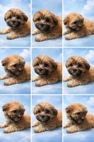 processed/d88092ff-fdf8-41ff-8f9a-03843933f773/listing/3620cfef-4810-41c9-88ed-9a4255332b9d/a1e438eb-85db-48e1-a3e8-668ea929036d