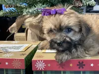 processed/d88092ff-fdf8-41ff-8f9a-03843933f773/listing/3620cfef-4810-41c9-88ed-9a4255332b9d/cf8df7dc-643c-4ac8-afc7-b3699b80bf78