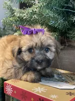 processed/d88092ff-fdf8-41ff-8f9a-03843933f773/listing/3620cfef-4810-41c9-88ed-9a4255332b9d/f8dd6894-eafa-4b41-b51f-5a149a4e5fe8