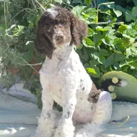 processed/d8816658-f9f2-46eb-8def-06cae2398635/facility/46b3b350-efb6-42fe-a1e5-7d3d6b10b929