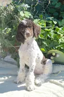 processed/d8816658-f9f2-46eb-8def-06cae2398635/facility/46b3b350-efb6-42fe-a1e5-7d3d6b10b929