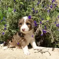 processed/d8816658-f9f2-46eb-8def-06cae2398635/facility/70eaf581-401d-4fe5-bea7-9844ef1e4f74