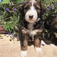 processed/d8816658-f9f2-46eb-8def-06cae2398635/facility/7a0fb8d5-71b4-4f32-8605-2317fd482742