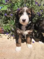 processed/d8816658-f9f2-46eb-8def-06cae2398635/facility/7a0fb8d5-71b4-4f32-8605-2317fd482742