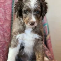 processed/d8816658-f9f2-46eb-8def-06cae2398635/facility/9f0096b4-af88-4a1c-8858-98664d60ff6c