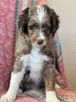 processed/d8816658-f9f2-46eb-8def-06cae2398635/facility/9f0096b4-af88-4a1c-8858-98664d60ff6c