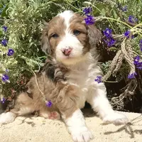 processed/d8816658-f9f2-46eb-8def-06cae2398635/facility/a05a9f76-d530-4daf-89ac-1f8a7a8eb2fb