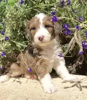 processed/d8816658-f9f2-46eb-8def-06cae2398635/facility/a05a9f76-d530-4daf-89ac-1f8a7a8eb2fb