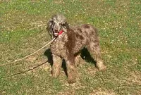 processed/d8816658-f9f2-46eb-8def-06cae2398635/listing/12d7e61c-ddf0-4b2f-84dd-74dfc2c948f1/411d2cf7-293a-4c42-aa27-9f1073924abb