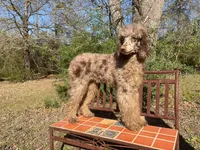 processed/d8816658-f9f2-46eb-8def-06cae2398635/listing/12d7e61c-ddf0-4b2f-84dd-74dfc2c948f1/916f17fa-7eb7-4902-80d8-bdbc68bc7b86