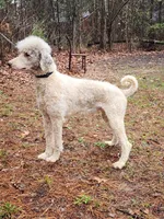 processed/d8816658-f9f2-46eb-8def-06cae2398635/listing/63017c40-0fd6-4caa-a6da-45ad4bcaae2f/2c43223c-1746-4c4d-b956-c74f8b694a62