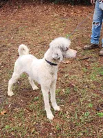 processed/d8816658-f9f2-46eb-8def-06cae2398635/listing/63017c40-0fd6-4caa-a6da-45ad4bcaae2f/99fb56ff-2b03-448f-a785-80913f2df524