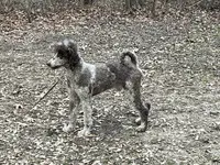 processed/d8816658-f9f2-46eb-8def-06cae2398635/listing/d74a9d03-6328-4fd5-9d59-d5451e595994/2085c30c-5ab7-443b-8dbd-37a9374e5459