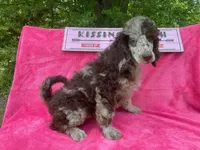 processed/d8816658-f9f2-46eb-8def-06cae2398635/listing/d74a9d03-6328-4fd5-9d59-d5451e595994/593bfd9d-8c47-4016-a7dd-1bc47469caf4