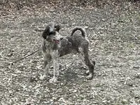 processed/d8816658-f9f2-46eb-8def-06cae2398635/listing/d74a9d03-6328-4fd5-9d59-d5451e595994/953da0d8-b6de-48dd-b126-732acc6711b4