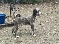 processed/d8816658-f9f2-46eb-8def-06cae2398635/listing/d74a9d03-6328-4fd5-9d59-d5451e595994/d2e3ddb7-bd5a-4864-a943-298a68602591